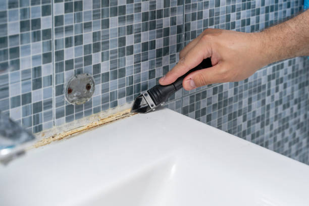 Best Mold Remediation  in East Brady, PA